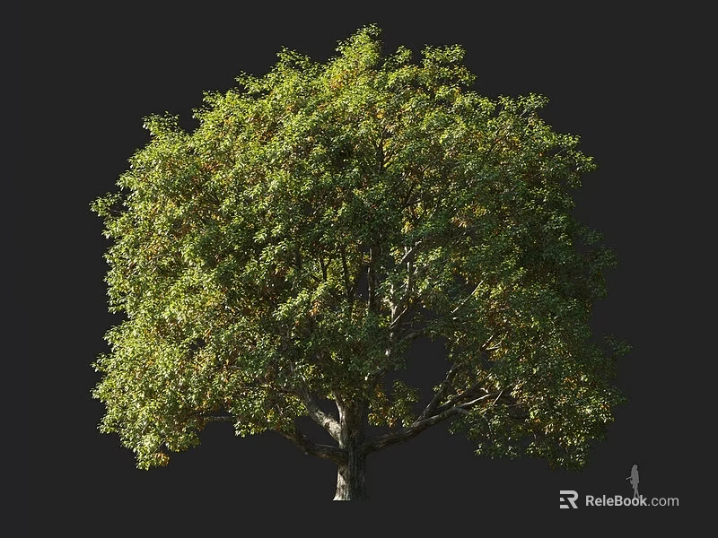 Lush Green Arbor With Dense Foliage And Strong Trunk In Natural View 3d model 