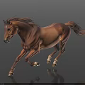 Brown Horse Running With Flowing Mane And Tail On Dark Background