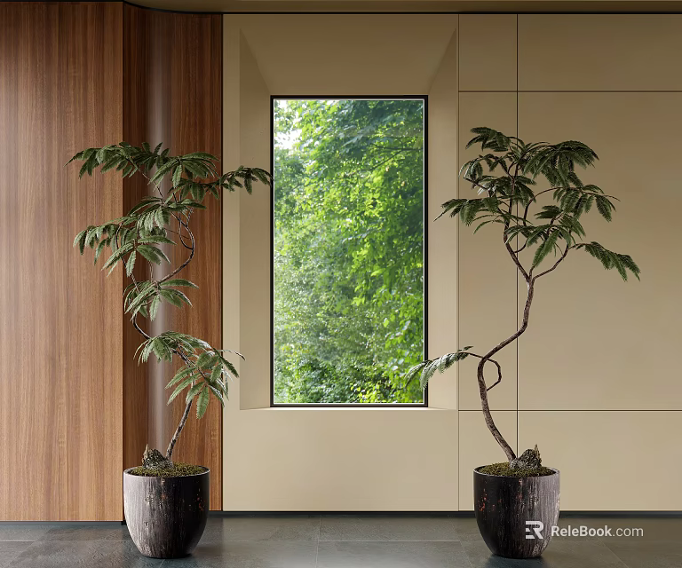Two Indoor Bonsai Plants In Black Pots By Window With Green Foliage Outside 3d model 