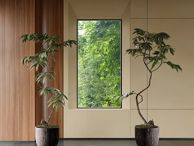 Two Indoor Bonsai Plants In Black Pots By Window With Green Foliage Outside 3d model