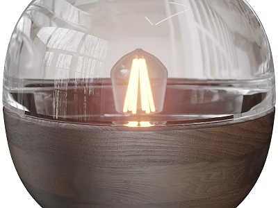 Modern Table Lamp With Transparent Glass Globe And Illuminated Bulb On Wooden Base 3d model