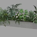 Mixed Tropical Plants In Long Planter With Green Foliage And Colorful Flowers