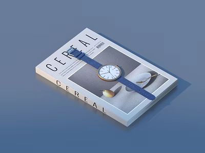 Everyday Living Products With Cereal Magazine Watch And Shell Decor Pieces 3d model