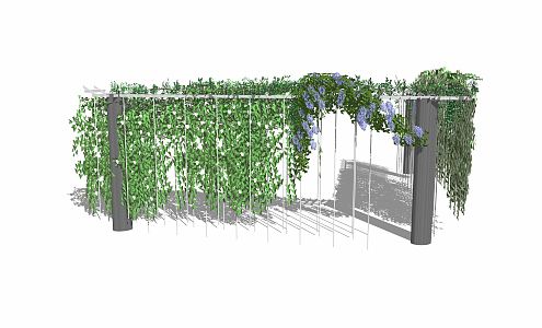 Modern Vine Plant 3d model