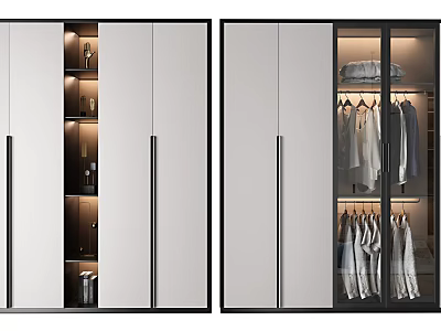 Modern Wardrobe Design With Glass Doors Hanging Rods Storage Shelves And LED Lighting 3d model