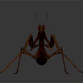 3D Rendered Orange And Green Mantis In Dynamic Standing Pose