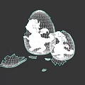 Newly Hatched Baby Reptile Emerging From Cracked Egg With Shell Fragments