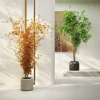 Silly potted plant 3d model