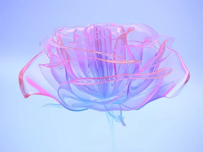 Transparent Pink And Blue Gradient Rose With Light Blue Background 3d model
