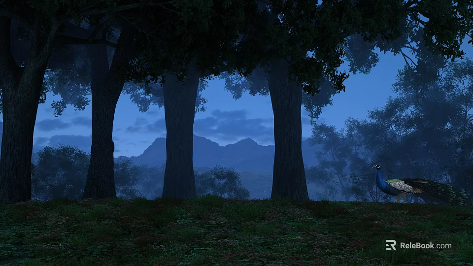Peacock Standing On Green Grass In Dark Forest At Dusk With Tall Trees 3d model 
