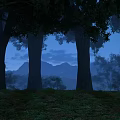 Peacock Standing On Green Grass In Dark Forest At Dusk With Tall Trees