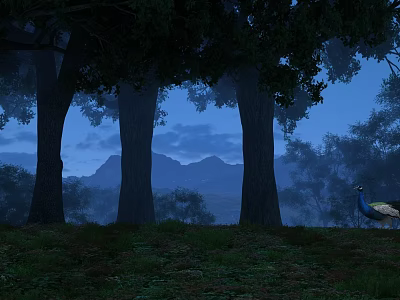 Peacock Standing On Green Grass In Dark Forest At Dusk With Tall Trees 3d model