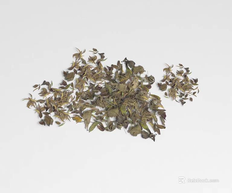 Natural Ground Cover Dried Green Brown Leaves in Scattered Arrangement 3d model 