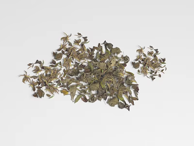 Natural Ground Cover Dried Green Brown Leaves in Scattered Arrangement 3d model