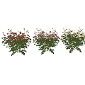 Beautiful Vase with Pink Red Yellow Flowers and Green Leaves for Home Decor