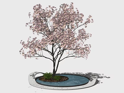 Flowering Tree with Pink Blossoms Black Trunk Surrounded by Circular Pool Brick Border Green Plants 3d model