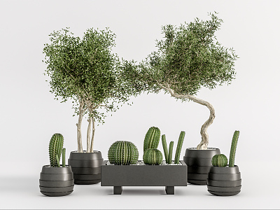 Modern potted plant potted cactus crooked neck tree 3d model