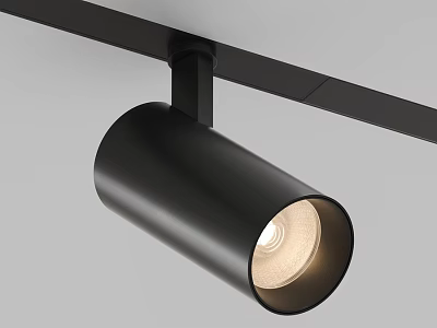 Modern Black Downlight Spotlight Track Mounted Lighting Fixture With Bright Illumination 3d model