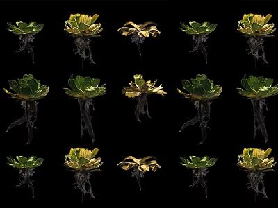 Various Aquatic Plants With Green And Golden Leaves And Exposed Roots 3d model
