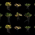 Various Aquatic Plants With Green And Golden Leaves And Exposed Roots