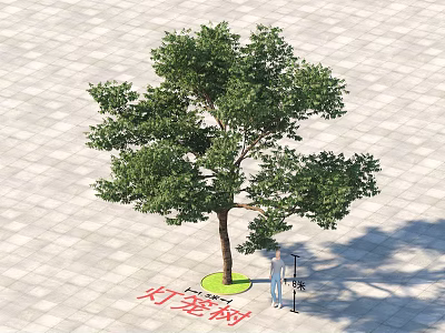 Lantern Tree Plants 302018 3d model