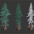 Cartoon Scene With Various Green Trees Brown Trunks White Snow And Dark Ground Reflections
