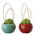 Two Green And Red Ceramic Potted Plants With Golden Metal Rings And Fresh Green Foliage