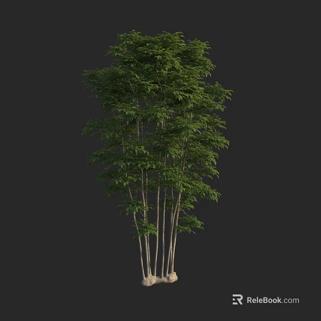Lush Green Arbor With Multiple Trunks And Dense Foliage On Stone Base 3d model 
