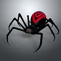 Black Spider With Red Pattern On Body And Red Eyes Against Gray Background