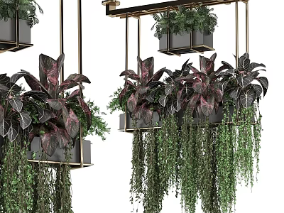 Elegant Hanging Basket Plants Featuring Dark Variegated Leaves And Trailing Green Vines For Modern Decor 3d model