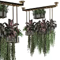 Elegant Hanging Basket Plants Featuring Dark Variegated Leaves And Trailing Green Vines For Modern Decor