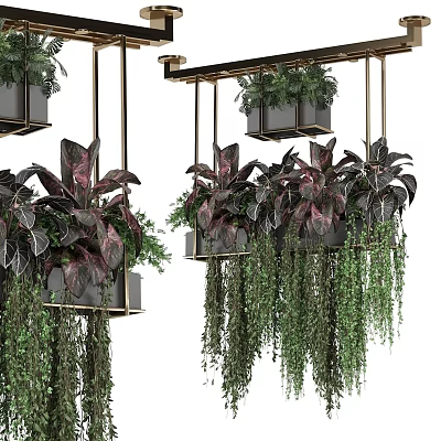 Elegant Hanging Basket Plants Featuring Dark Variegated Leaves And Trailing Green Vines For Modern Decor 3d model