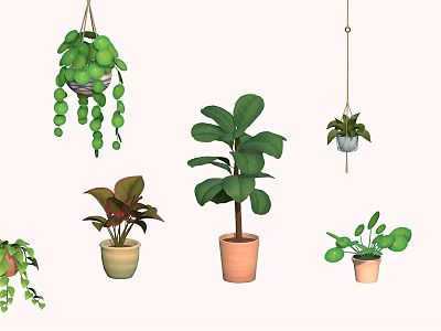 Indoor Hanging Basket Plants With Lush Green Leaves And Trailing Vines 3d model