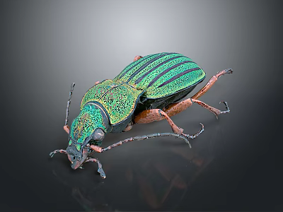 Vibrant Green Metallic Beetle With Striped Carapace On Dark Background Detailed Closeup 3d model