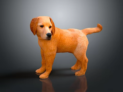Light Brown Golden Retriever Puppy in Standing Pose as 3D Model on Gray Background 3d model