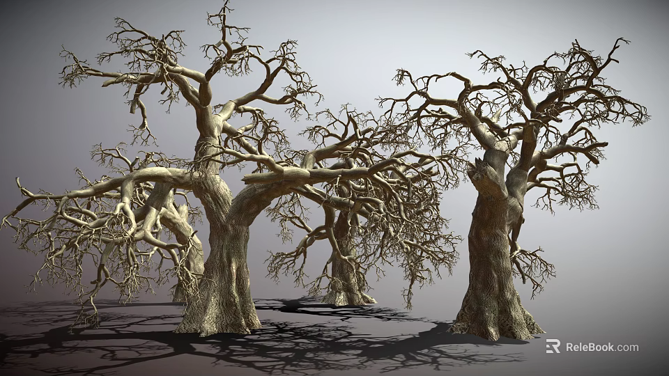 Leafless Withered Trees With Thick Trunks And Twisted Branches Against Gray Background 3d model 