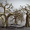 Leafless Withered Trees With Thick Trunks And Twisted Branches Against Gray Background