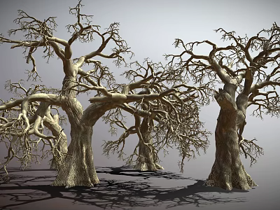 Leafless Withered Trees With Thick Trunks And Twisted Branches Against Gray Background 3d model