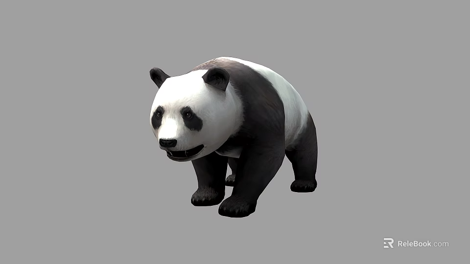 Giant Panda Bear With Black And White Fur Standing On Gray Background 3d model 