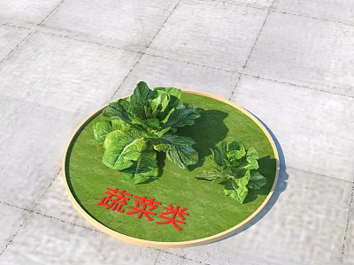 Fresh Green Leafy Vegetables On Circular Green Mat With Fresh Lettuce 3d model