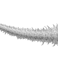 Tail 7 3d model