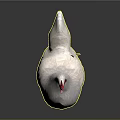 White Chicken with Red Comb Standing Gracefully on Gray Background