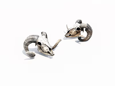 Vintage Decorative Ram Skulls With Natural Curved Horns On White Background 3d model