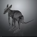 Detailed 3D Kangaroo Model In Standing Pose With White Texture And Gray Background