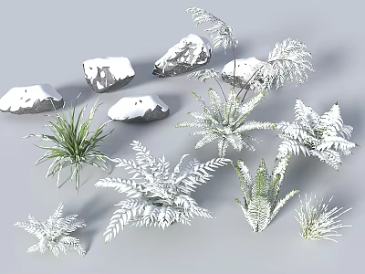 Garden Landscape With Snow Covered Stones And Various Types Of Fern Plants 3d model