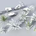 Garden Landscape With Snow Covered Stones And Various Types Of Fern Plants