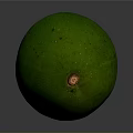Ripe Green Avocado With Brown Specks And Smooth Surface On Gray Background