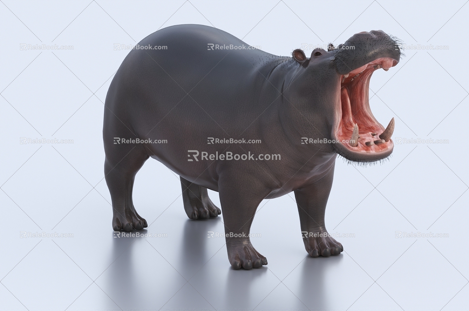 Modern Hippo 3d model