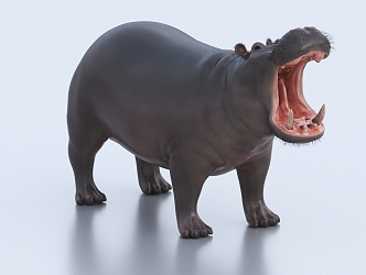 Modern Hippo 3d model