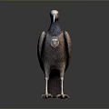 Realistic Standing Vulture Figure With Detailed Feather Texture And Shiny Surface Reflection On Dark Background